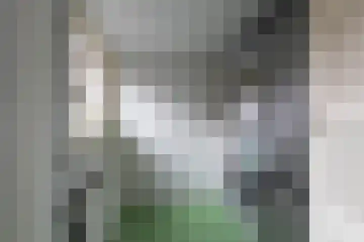 Nicolaas Beetskade 44 Alkmaar thumbnail 22