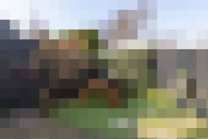 Nicolaas Beetskade 44 Alkmaar thumbnail 25