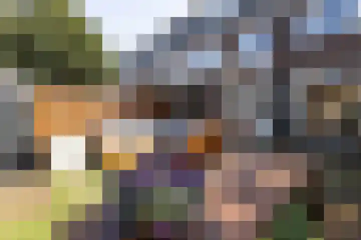 Nicolaas Beetskade 44 Alkmaar thumbnail 26