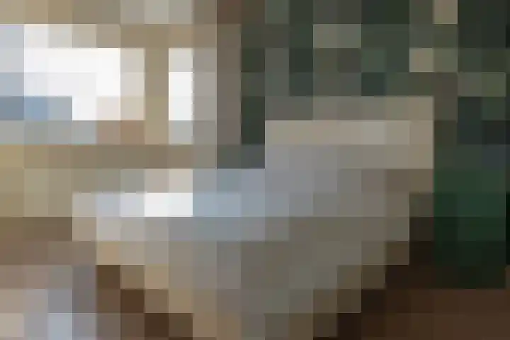 Nicolaas Beetskade 44 Alkmaar thumbnail 33
