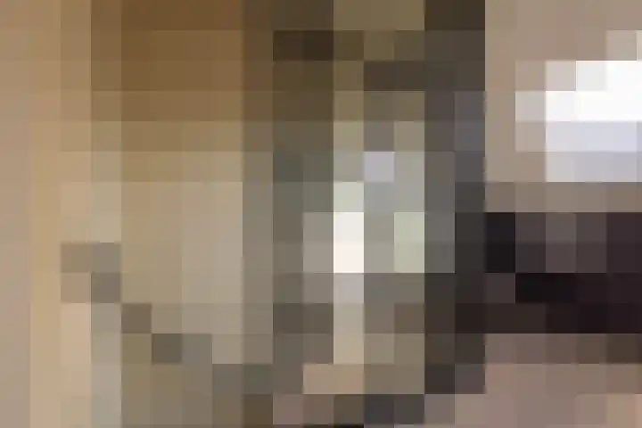 Nicolaas Beetskade 44 Alkmaar thumbnail 37