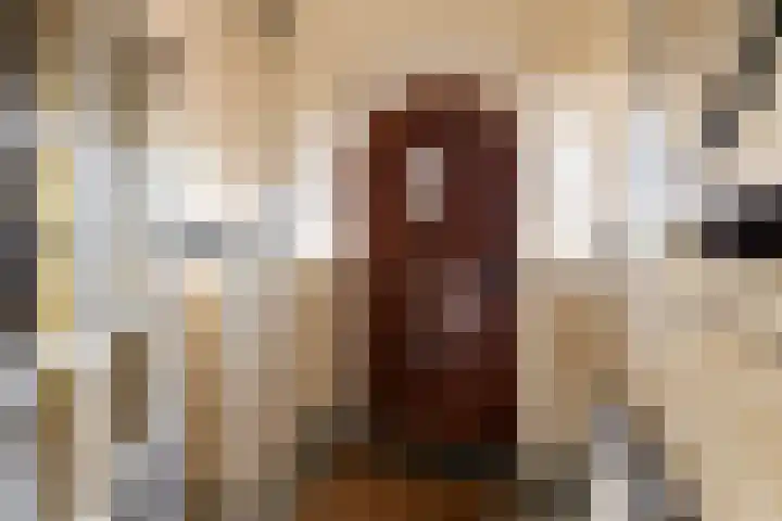 Nicolaas Beetskade 44 Alkmaar thumbnail 4