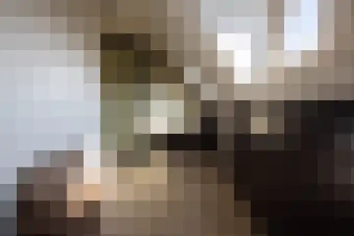Nicolaas Beetskade 44 Alkmaar thumbnail 41