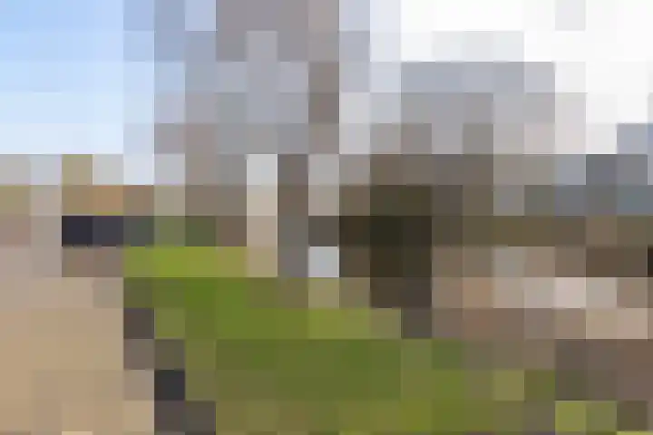 Nicolaas Beetskade 44 Alkmaar thumbnail 45