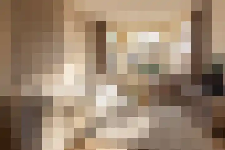 Nicolaas Beetskade 44 Alkmaar thumbnail 5