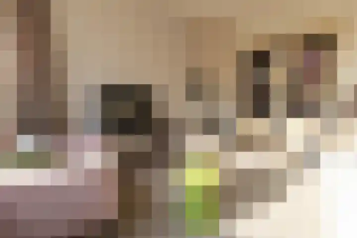 Nicolaas Beetskade 44 Alkmaar thumbnail 7