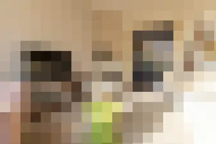 Nicolaas Beetskade 44 Alkmaar thumbnail 8