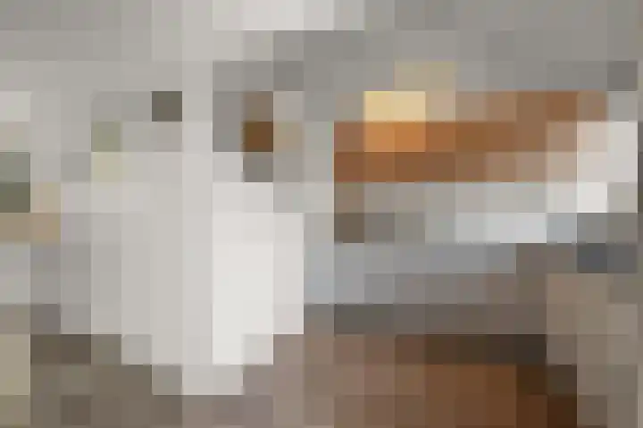 Nicolaas Beetskade 61 Alkmaar thumbnail 11