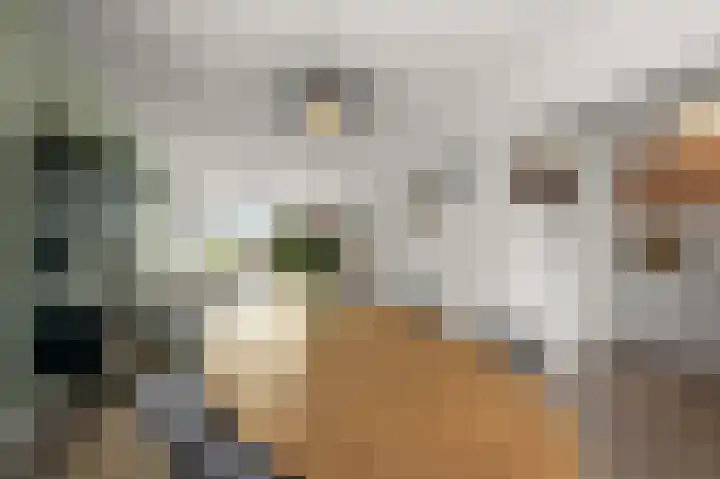 Nicolaas Beetskade 61 Alkmaar thumbnail 12
