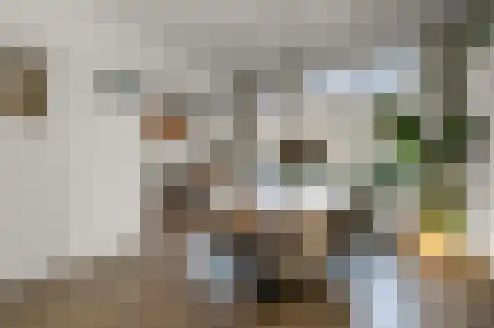 Nicolaas Beetskade 61 Alkmaar thumbnail 13