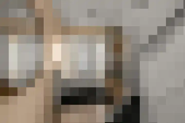 Nicolaas Beetskade 61 Alkmaar thumbnail 17