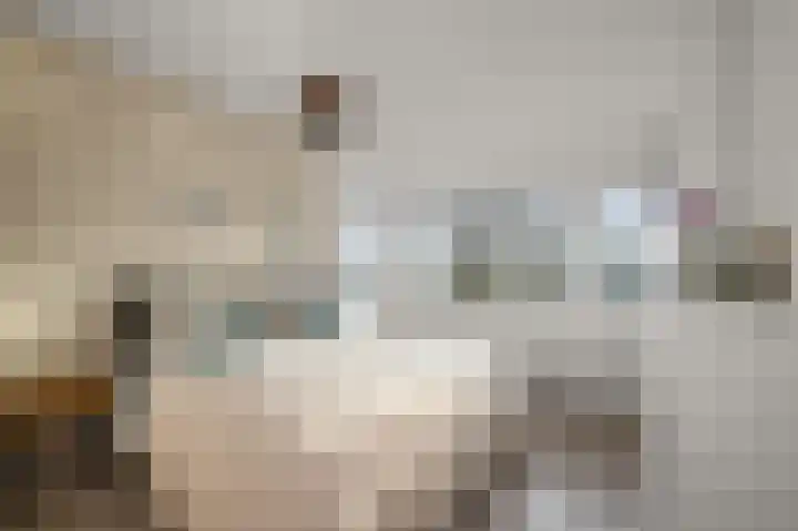 Nicolaas Beetskade 61 Alkmaar thumbnail 18