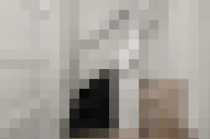 Nicolaas Beetskade 61 Alkmaar thumbnail 30