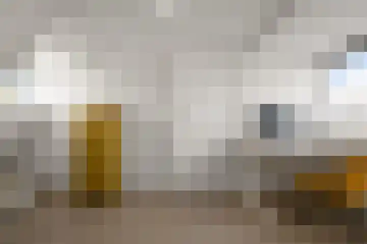 Nicolaas Beetskade 61 Alkmaar thumbnail 34
