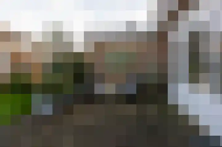 Nicolaas Beetskade 61 Alkmaar thumbnail 37