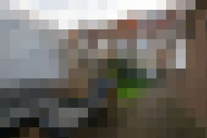 Nicolaas Beetskade 61 Alkmaar thumbnail 38