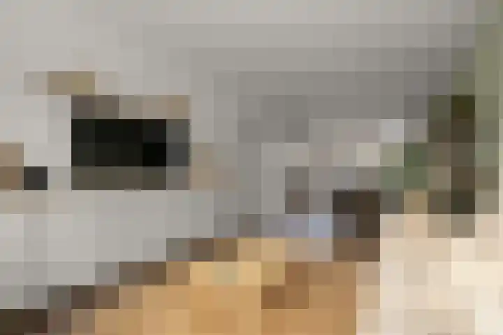 Nicolaas Beetskade 61 Alkmaar thumbnail 7