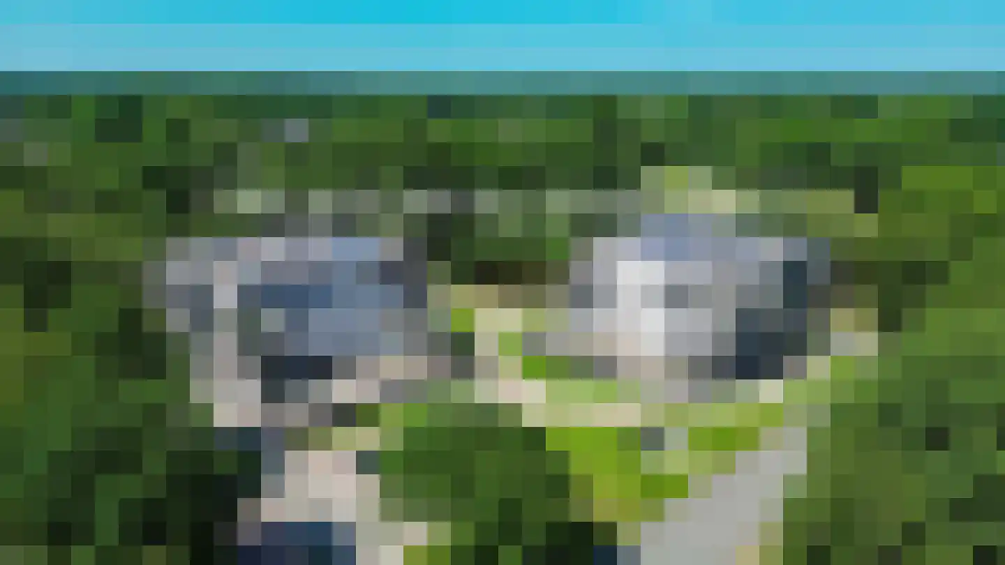 Nicolaas Beetslaan 1 B 12 Assen thumbnail 10