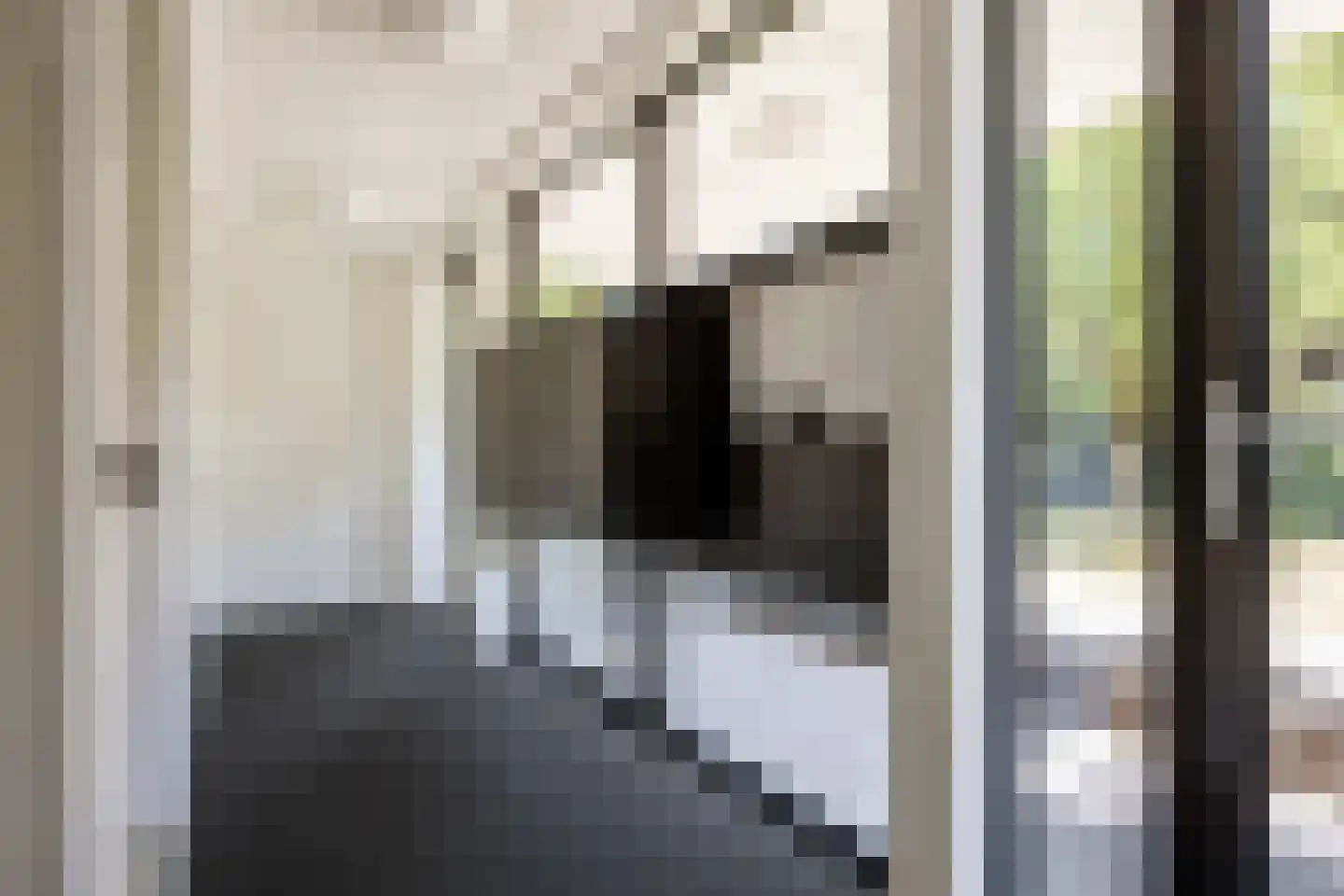 Nicolaas Beetslaan 1 B 12 Assen thumbnail 16