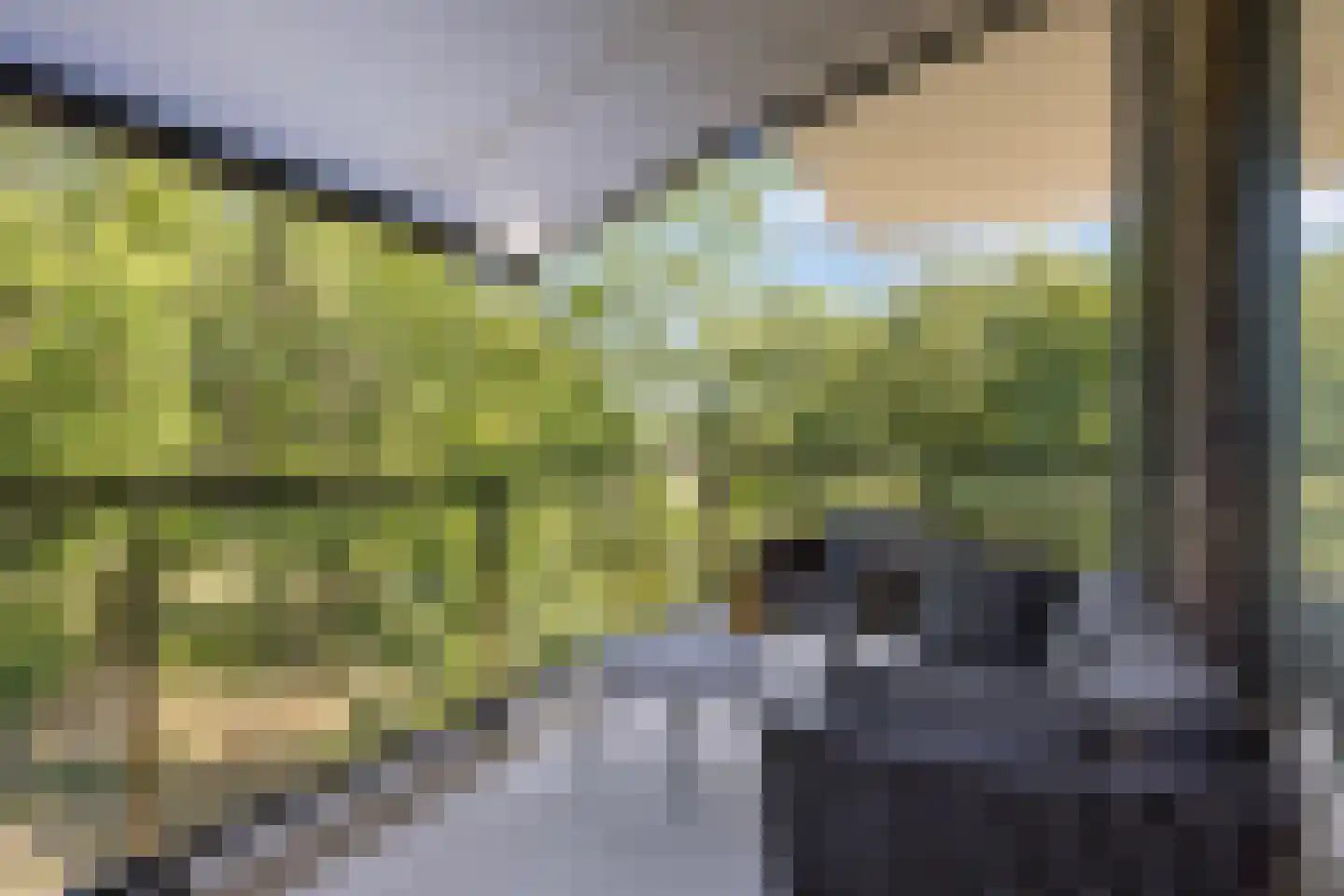 Nicolaas Beetslaan 1 B 12 Assen thumbnail 40