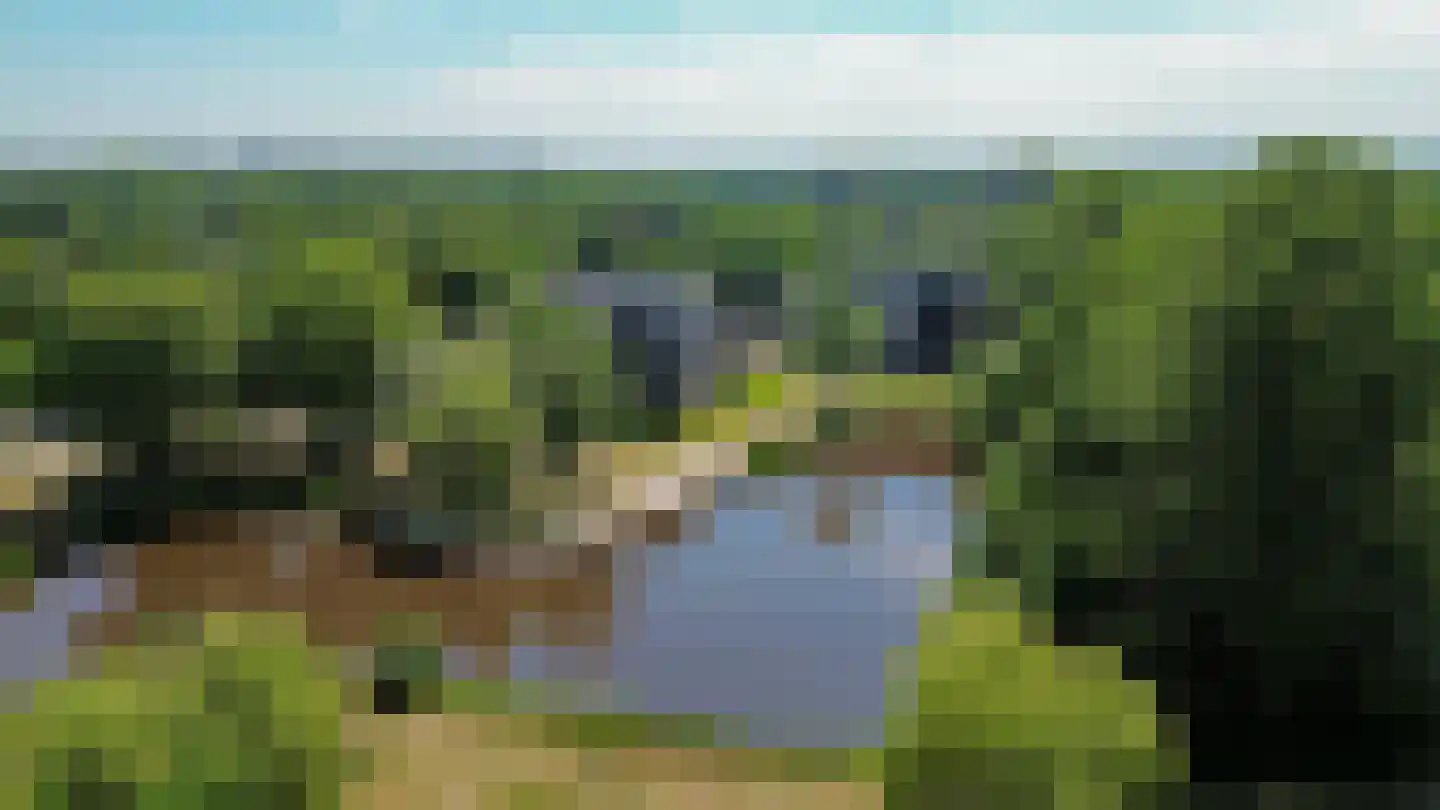 Nicolaas Beetslaan 1 B 12 Assen thumbnail 61