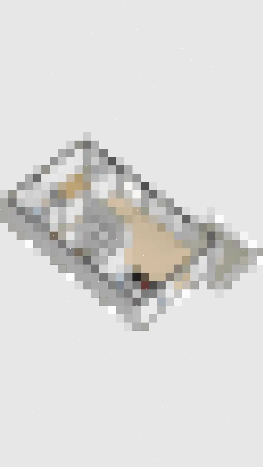 Nicolaas Beetslaan 1 B 12 Assen thumbnail 63
