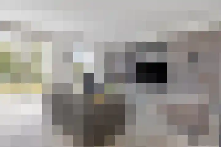 Nicolaas Beetslaan 1 B 4 Assen thumbnail 14