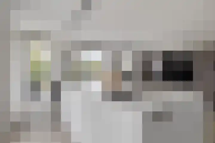 Nicolaas Beetslaan 1 B 4 Assen thumbnail 18