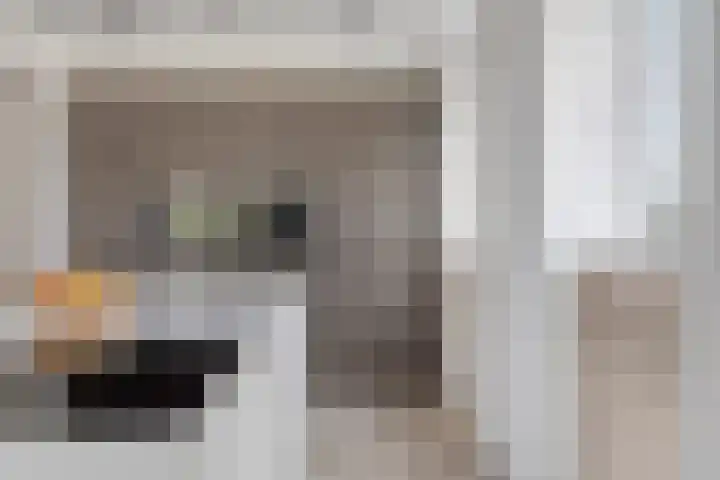 Nicolaas Beetslaan 1 B 4 Assen thumbnail 21