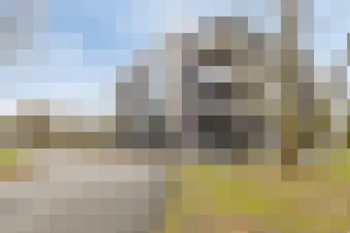 Nicolaas Beetslaan 1 B 4 Assen thumbnail 4