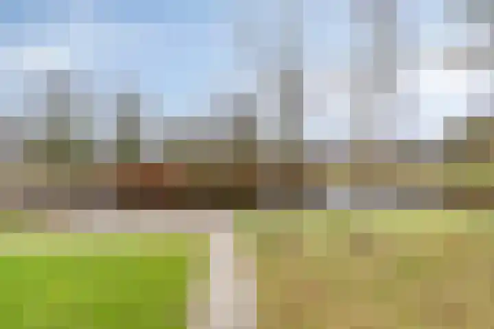 Nicolaas Beetslaan 1 B 4 Assen thumbnail 45