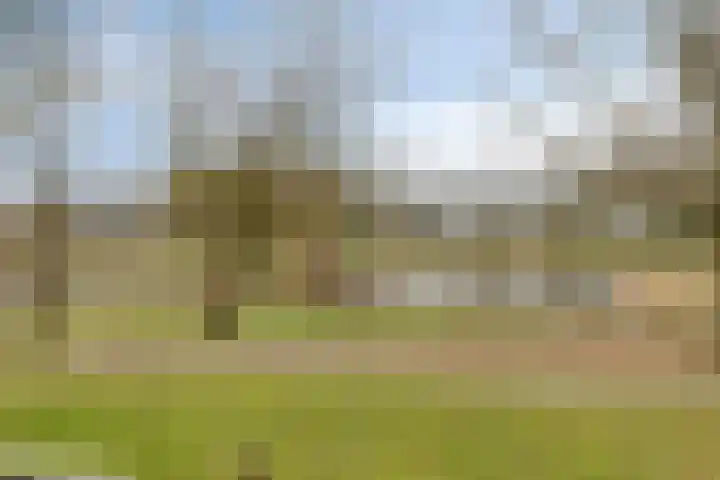 Nicolaas Beetslaan 1 B 4 Assen thumbnail 46