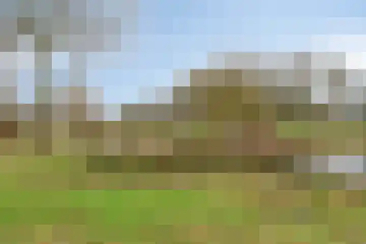 Nicolaas Beetslaan 1 B 4 Assen thumbnail 47