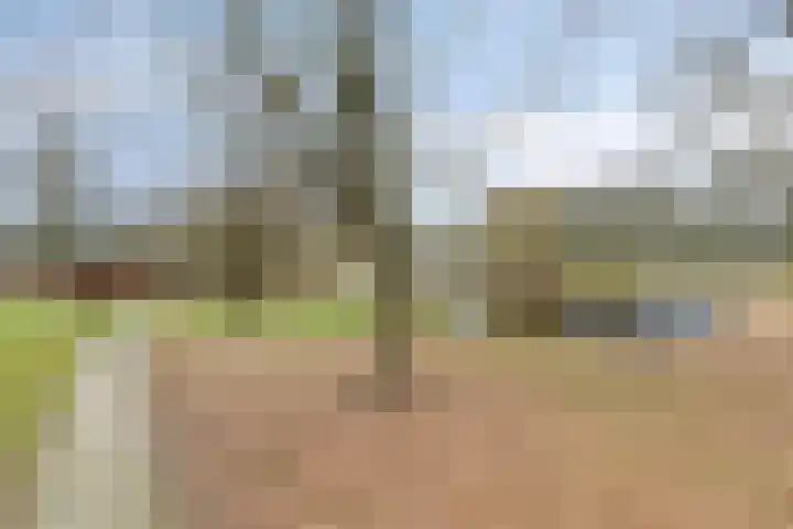 Nicolaas Beetslaan 1 B 4 Assen thumbnail 48
