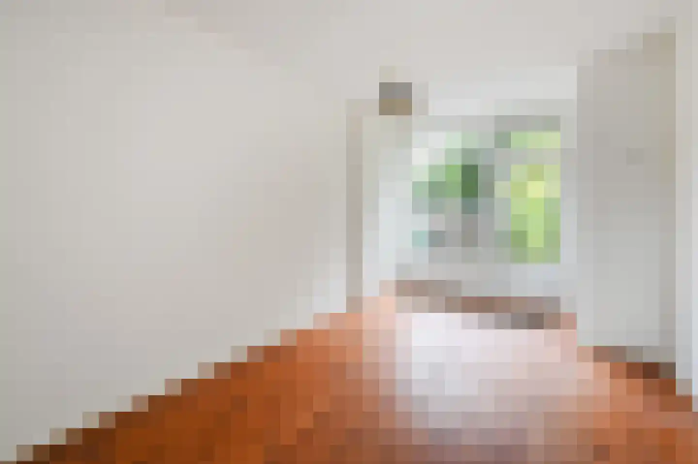 Nicolaas Beetslaan 100 Voorburg thumbnail 11