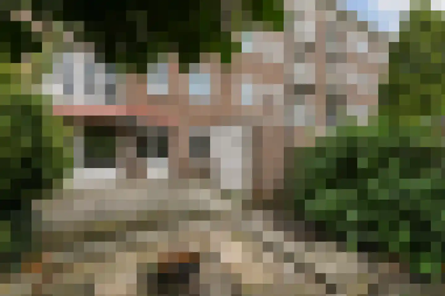 Nicolaas Beetslaan 100 Voorburg thumbnail 13