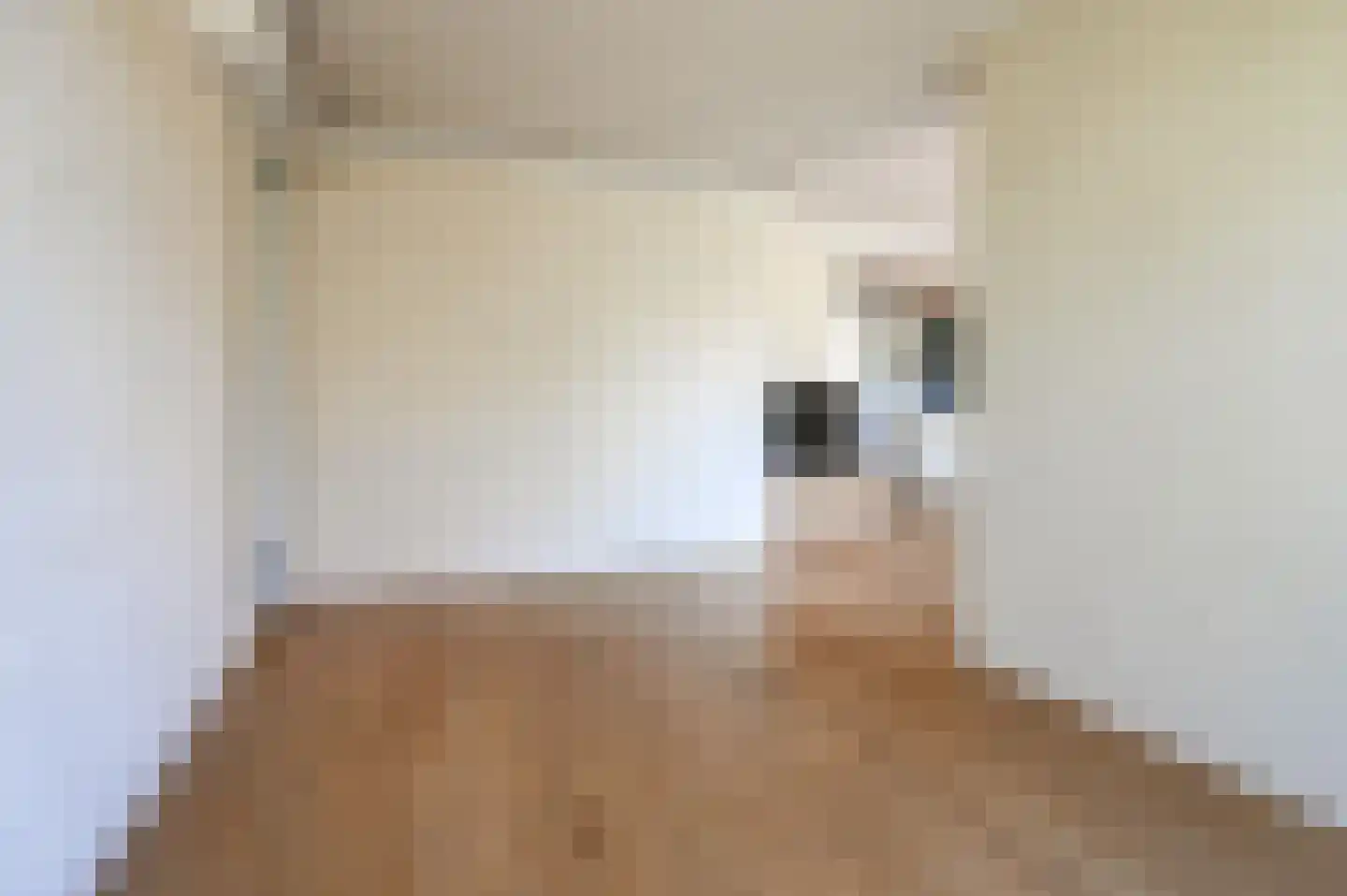 Nicolaas Beetslaan 11 Driehuis NH thumbnail 10