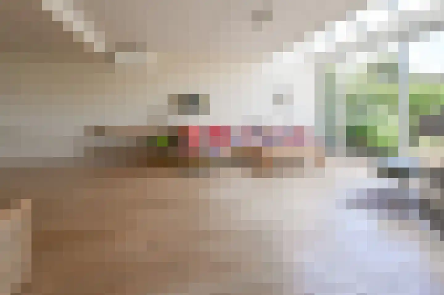 Nicolaas Beetslaan 11 Driehuis NH thumbnail 11