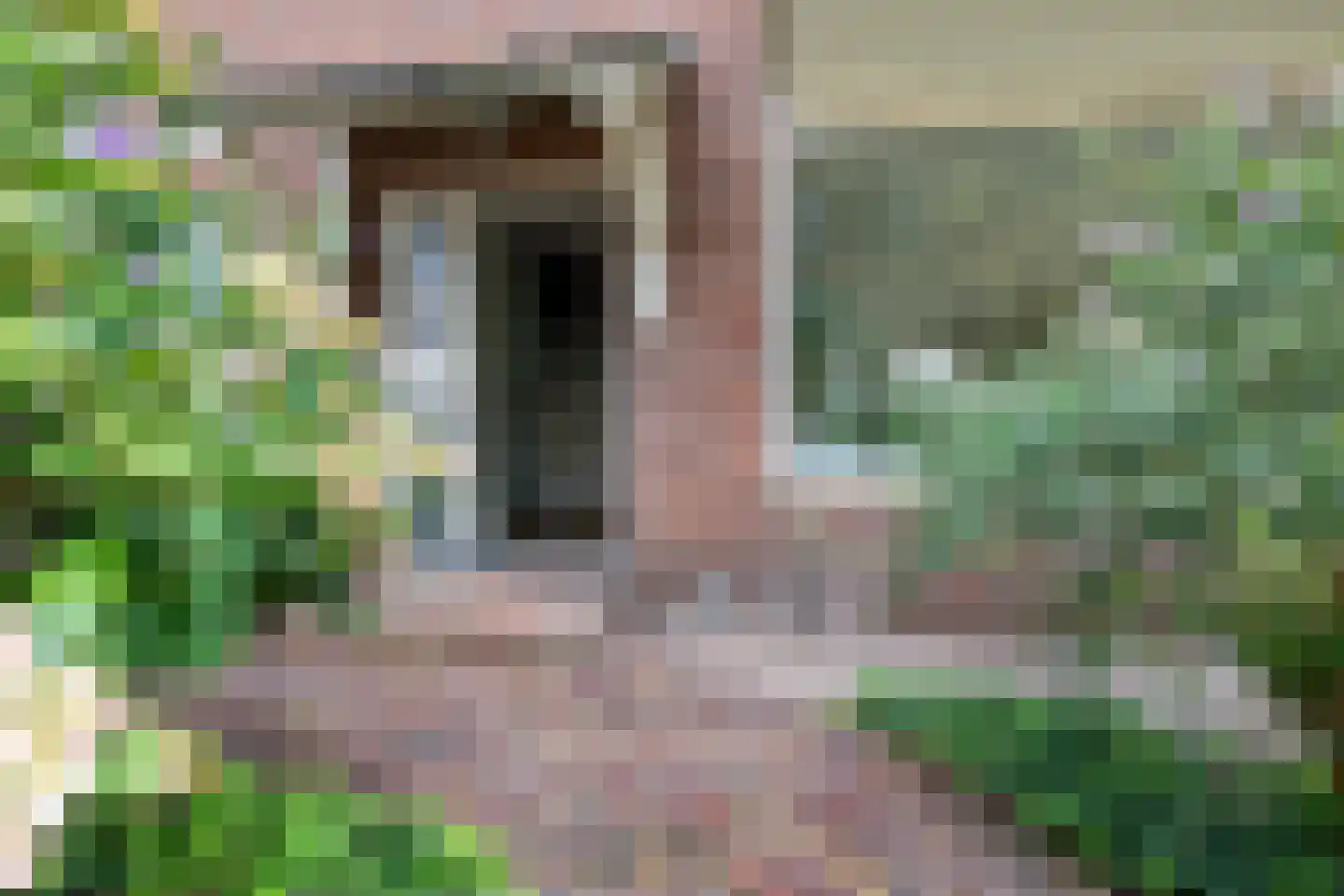 Nicolaas Beetslaan 11 Uithoorn thumbnail 7