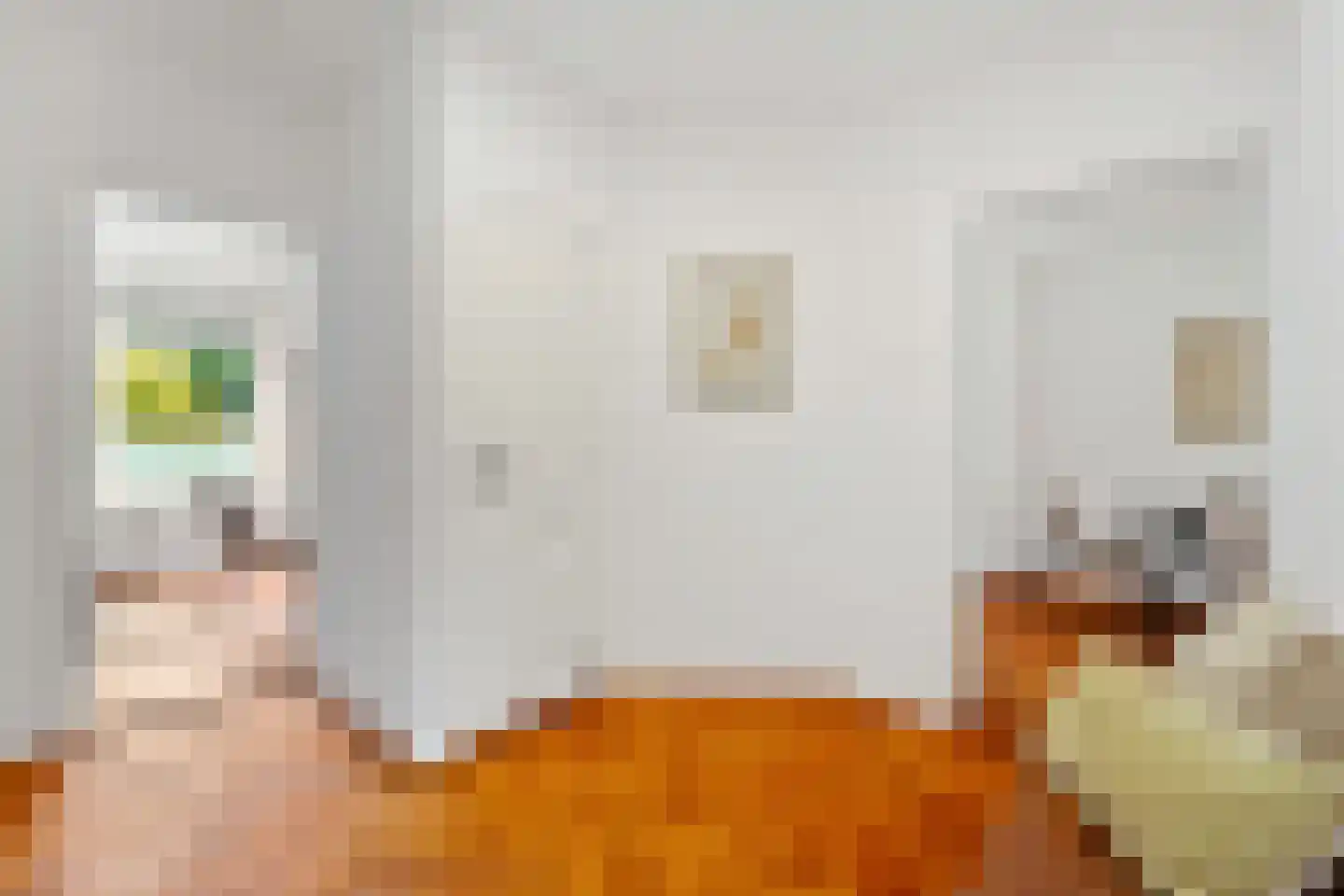 Nicolaas Beetslaan 162 Voorburg thumbnail 13
