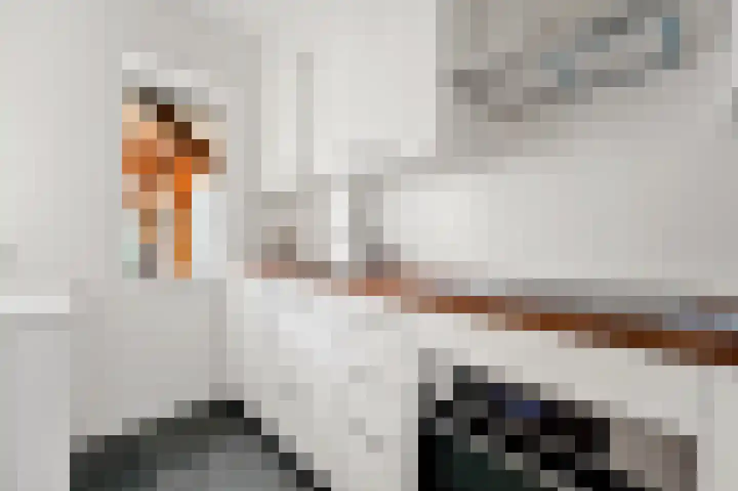 Nicolaas Beetslaan 162 Voorburg thumbnail 15