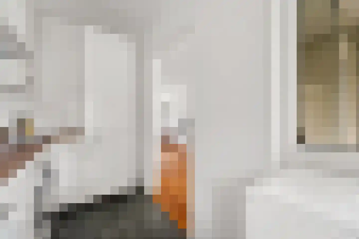 Nicolaas Beetslaan 162 Voorburg thumbnail 16