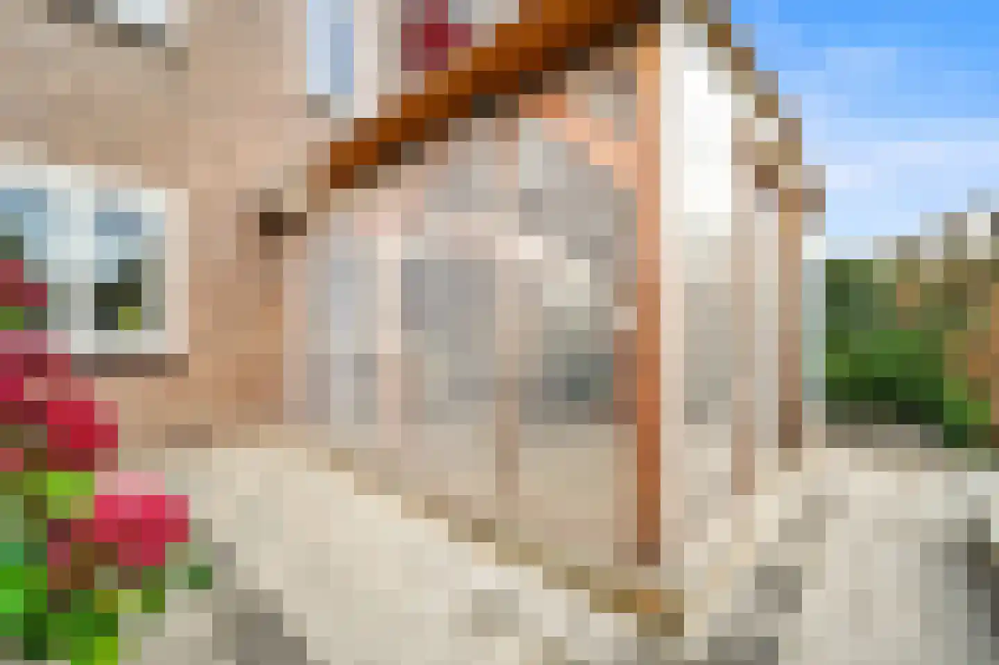 Nicolaas Beetslaan 162 Voorburg thumbnail 19