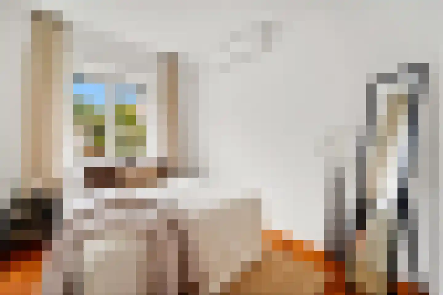 Nicolaas Beetslaan 162 Voorburg thumbnail 22