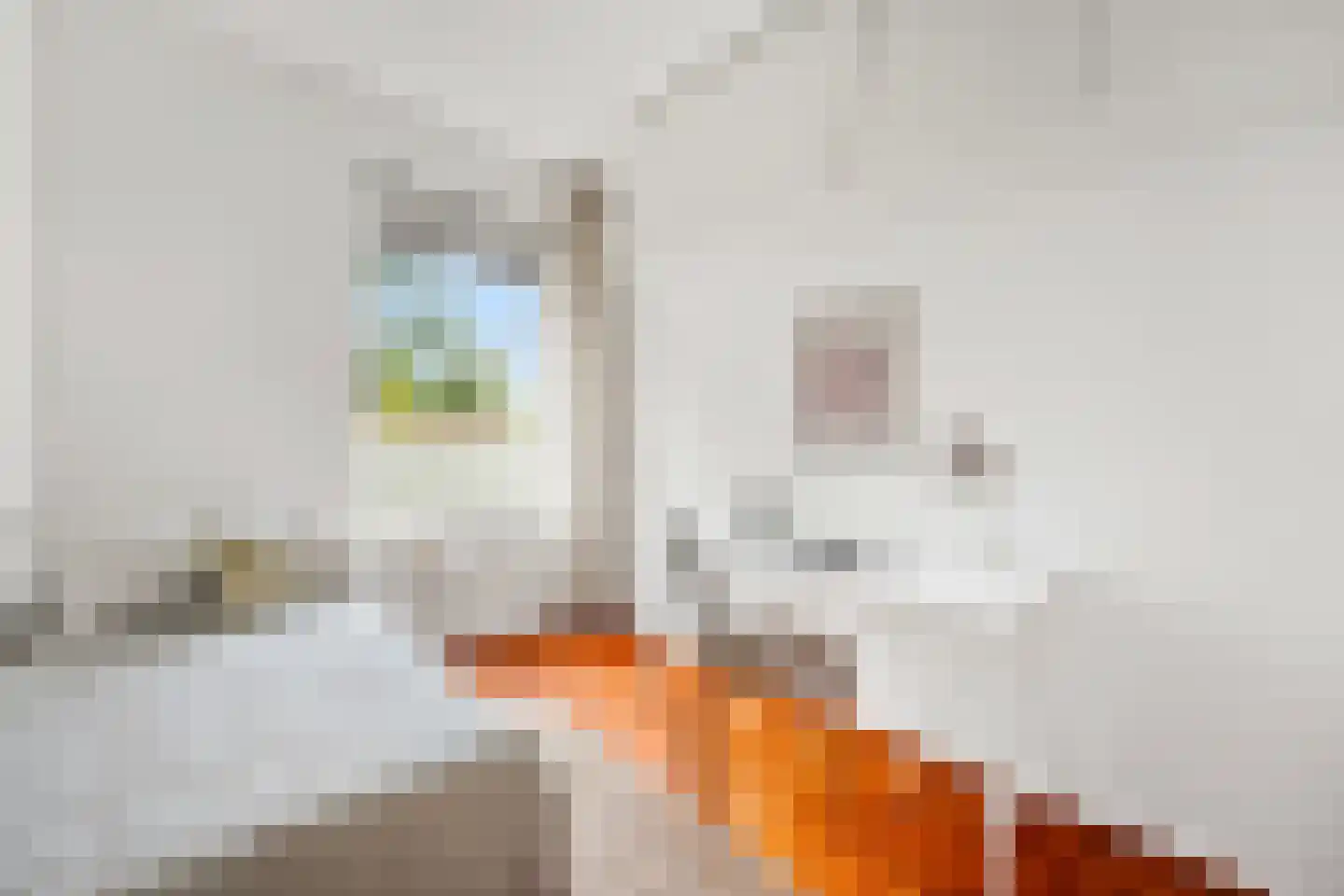 Nicolaas Beetslaan 162 Voorburg thumbnail 7
