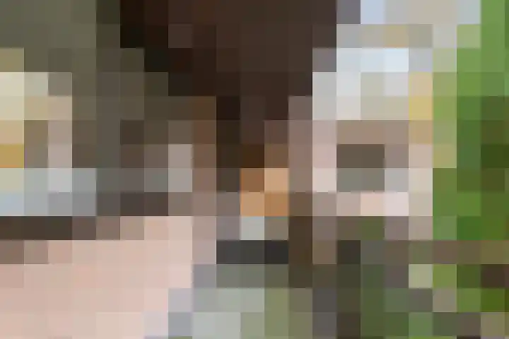 Nicolaas Beetslaan 17 Aerdenhout thumbnail 28