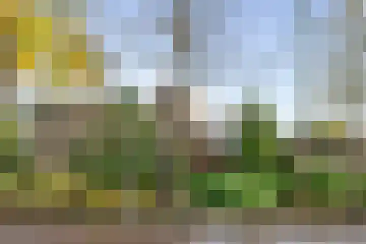 Nicolaas Beetslaan 17 Aerdenhout thumbnail 33