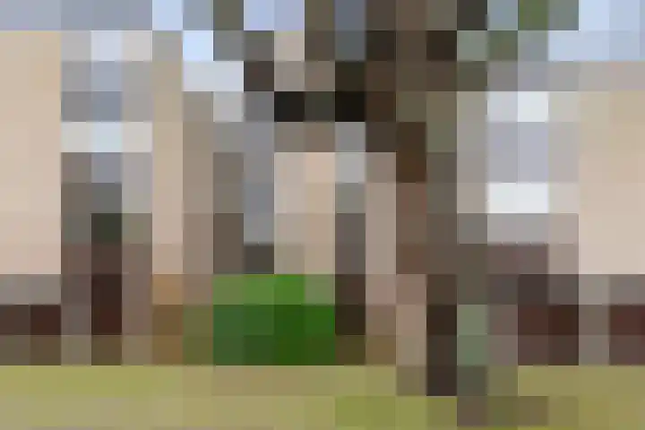 Nicolaas Beetslaan 17 Aerdenhout thumbnail 34