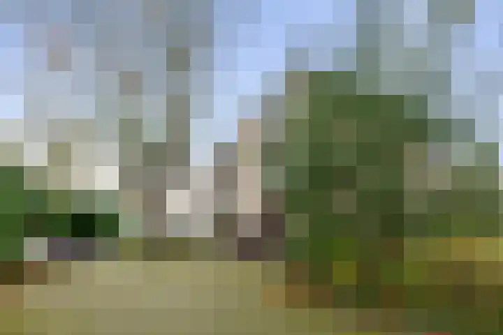 Nicolaas Beetslaan 17 Aerdenhout thumbnail 35