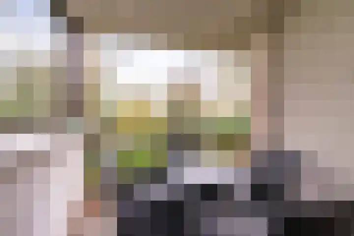 Nicolaas Beetslaan 17 Aerdenhout thumbnail 5